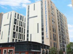 مقدمة عن مصنع الحوت الأزرق